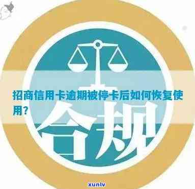 招商信用卡逾期被停，如何恢复使用掌上生活？其他还款方式有哪些？