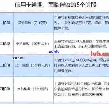 信用卡申请过程中逾期记录可能对信用评分产生的深远影响与应对策略