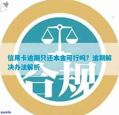 逾期还款信用卡只还本金是否可行？了解完整解决方案和注意事项