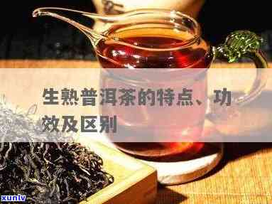 普洱生茶001:普洱生茶与熟茶的区别及功效，如何品饮普洱生茶？