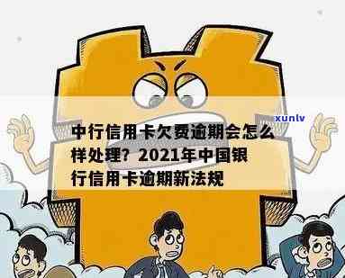 中行信用卡年费逾期未缴纳可能面临的后果及解决 *** 全面解析