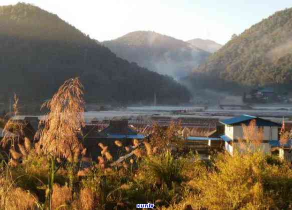 探究生普洱冲泡过程中茶颜色变化的奥秘