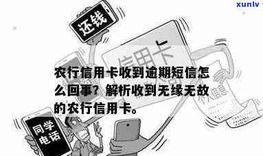 农业银行逾期短信：了解原因、解决 *** 以及如何避免再次发生