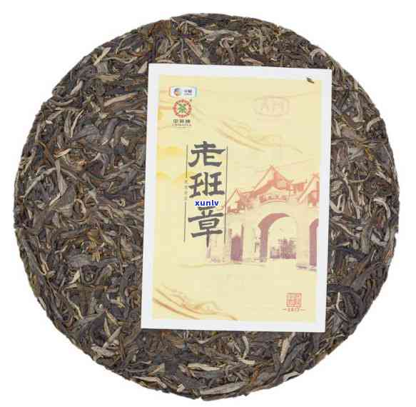 怎么区分老班章古树茶真假并泡出好味道