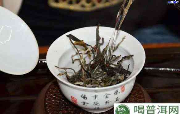 怎么区分老班章古树茶真假并泡出好味道