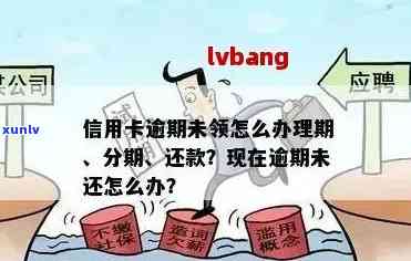 信用卡逾期办理分期还款所需资料全面解析，助您顺利解决财务问题