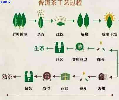 全面解析：老班章酒的酿造工艺、品质特点与品鉴 *** 