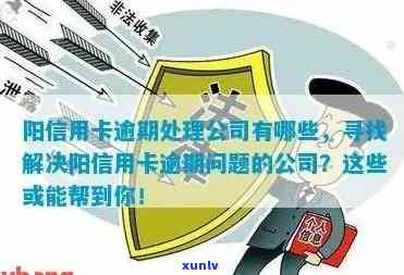 寻找解决信用卡逾期问题的专业公司及服务：了解各种解决方案和预防措