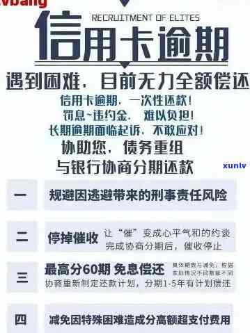 寻找解决信用卡逾期问题的专业公司及服务：了解各种解决方案和预防措