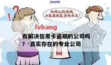 寻找解决信用卡逾期问题的专业公司及服务：了解各种解决方案和预防措