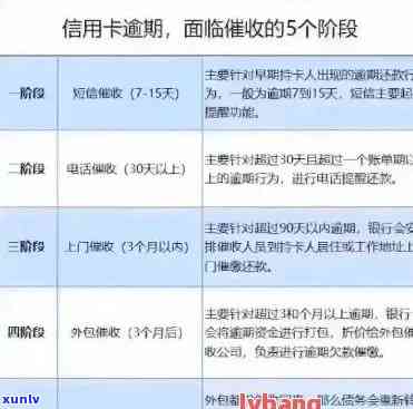 信用卡逾期还款解决策略：全面清除理由与建议