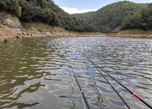 普洱路亚鱼玩乐地点，云南普洱野钓与路亚钓鱼热点