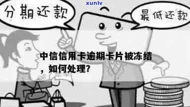 中信信用卡逾期后冻结怎么办？解冻步骤与注意事项全解析