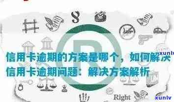 信用卡逾期显示解析：码的外观特征与解读 *** 