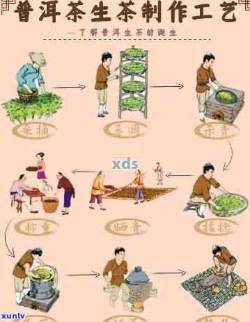 '生普洱的工艺有哪些：详解生普洱茶的 *** 工艺与过程'