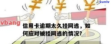 信用卡逾期成了网逃