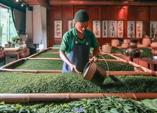 南涧凤凰茶业：品质越的茶叶供应商，为您呈现全方位的茶文化体验