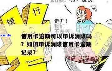 信用卡逾期记录消除：几年后仍能申请新卡吗？