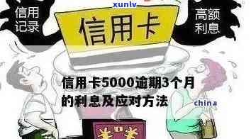 信用卡逾期5000以下的