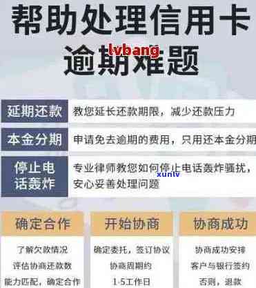 全方位指南：如何查询信用卡逾期情况，解决用户可能遇到的各种问题