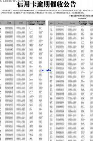 附近的信用卡逾期名单查询指南：如何找到并了解XXXX年全国逾期情况