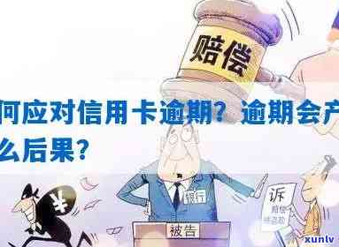 信用卡逾期后果全面解析：如何应对逾期问题，避免信用受损？