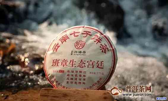 云南勐海兴益茶厂精选老班章普洱茶，阿里原产地直供