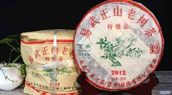 2009下关班章正山老树沱茶-2009年下关班章正山老树沱茶