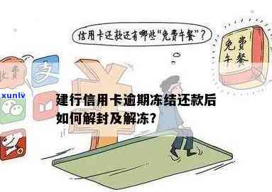 建设银行信用卡逾期还款被冻结，如何解决？