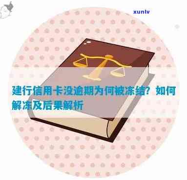 信用卡逾期还款，亲属联系方式是否会影响信用记录及相关问题解答