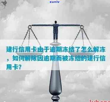 建设银行信用卡逾期还款被冻结，如何解决？