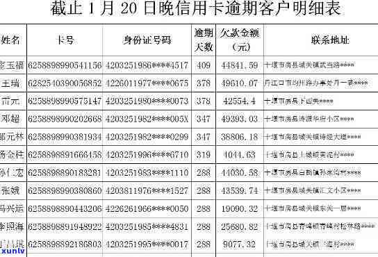 最新信用卡逾期公告信息