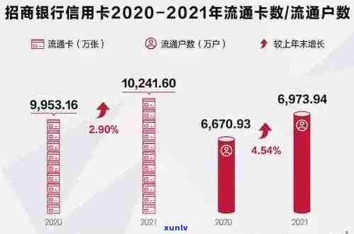 '2020年中国信用卡逾期数据概览：统计、分析与预测'