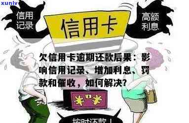 哈尔滨信用卡逾期还款后果详解：利息、信用记录、法律责任等方面的影响