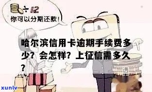 哈尔滨信用卡逾期还款的影响及恢复的时间周期全解析