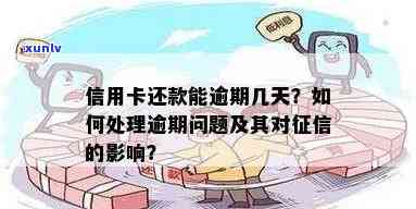 关于及时处理信用卡逾期问题，了解如何避免信用影响并完成还款