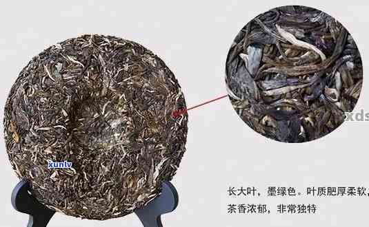 普洱茶泡水度：多少度的水泡普洱茶最合适？