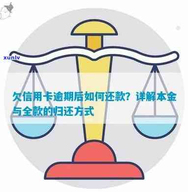 逾期还款策略：揭秘信用卡欠款本金的正确归还 *** 