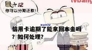 逾期还款策略：揭秘信用卡欠款本金的正确归还 *** 