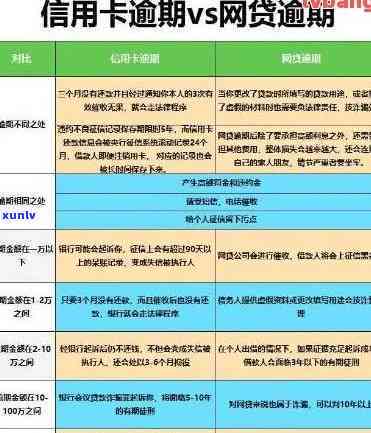 信用卡逾期还款策略：解决利息问题及避免额外损失的全面指南