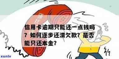 信用卡逾期还款攻略：如何用少量资金尽快还清欠款？