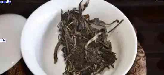 探究老班章茶的独特魅力：普洱茶冲泡方式与口感分析