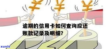 如何查询信用卡逾期还款记录以及解决相关问题