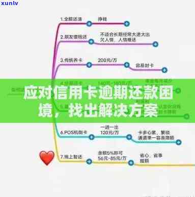 如何有效应对信用卡逾期并找到更优的贷款方案