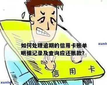 逾期信用卡还款明细查询指南：如何确定应还账款金额与记录