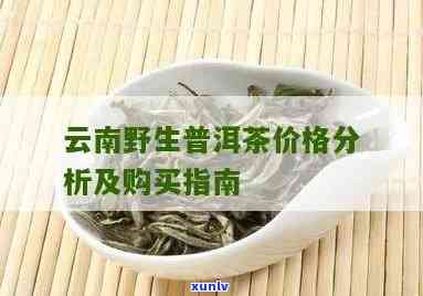 新云南勐海原生态班章茶08普洱茶阿里批发价格与口感特点分析