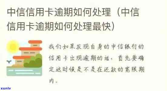 中信银行信用卡逾期明细查询全攻略：如何轻松掌握欠款情况