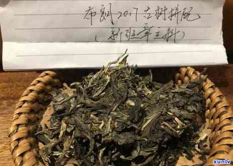 全方位解析：老班章茶的品鉴 *** 与口感特点，让你更好地了解这款茶叶