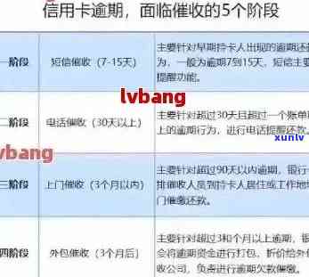 2020年信用卡逾期新标准详解：如何避免逾期、利息计算方式及处理流程全解析