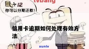 行用卡逾期费用怎么算：处理信用卡逾期的策略和建议